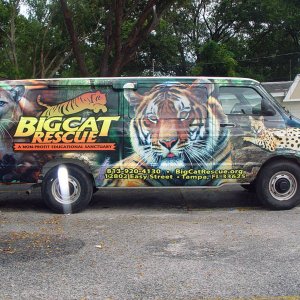 Big Cat Rescue wrap