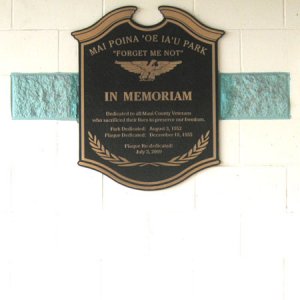 plaque