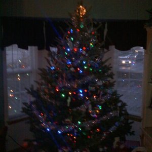 Tree1