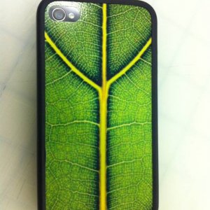 iPhone Wrap