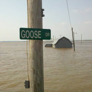 flood
