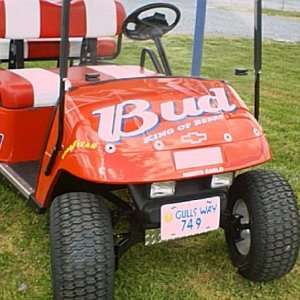 Dale Jr. Golf Car