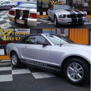 Stang rally stripes