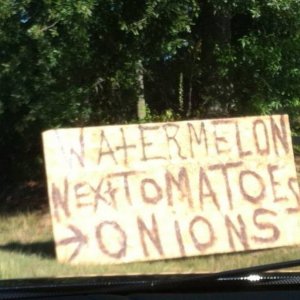 Fruit & Vegetables for sale...I think!