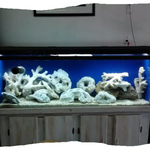 200 gallon