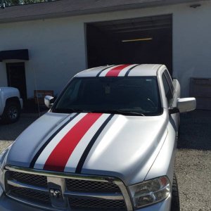 Buckeye Hood Stripe