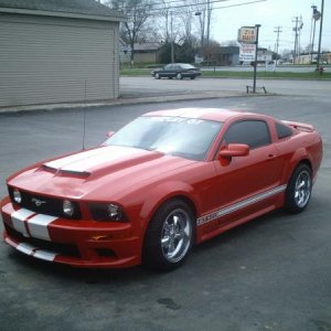 Mustang Stripes