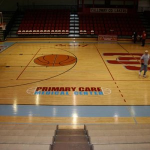 Third week after my plotter got delivered, I did this job. A high school basketball court floor.