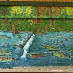 Hyde Creek Mural Outdoors 10 x 50 feet