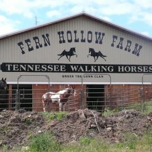 horse barn my son and I painted...(corrigated tin sucks!)