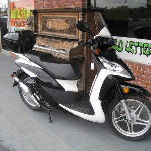 whitescoot