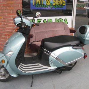 tealscoot