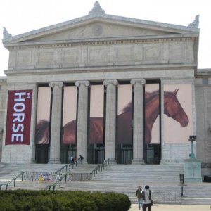 Here's a cool banner project we did for the Chicago Field Museum.  Digital print to Artist 250.
