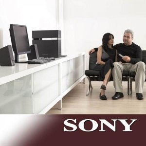 sony display v1