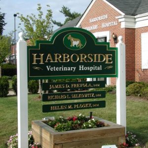 Harvorside Vet Hospital