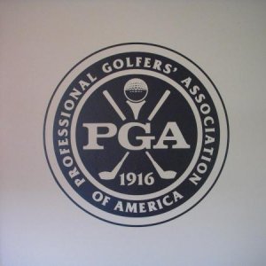 Vinyl for my son's wall. He loves golf.