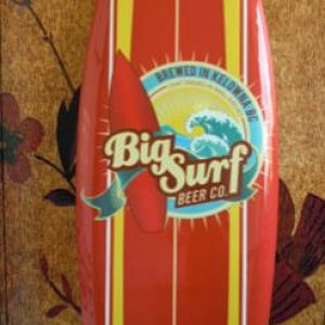 Surf Board