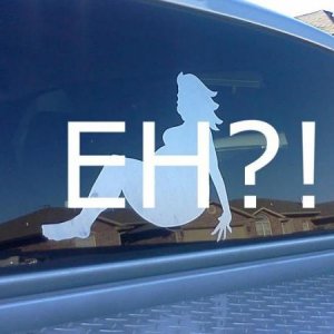 AccidentallyAPregnant