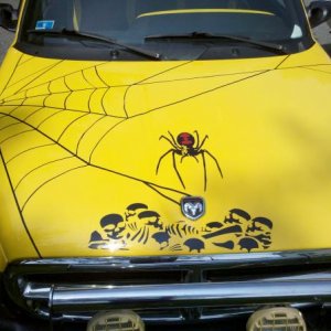 Spider Truck