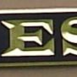 Signfoam and goldleaf