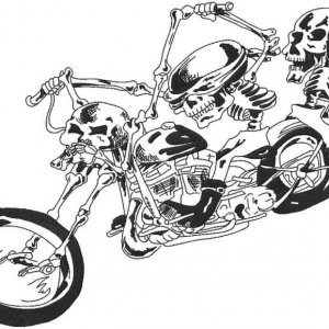 skeltonsandbike