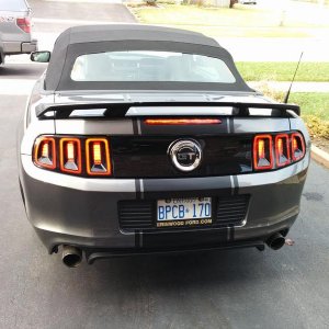 Mustang striping Dec2015