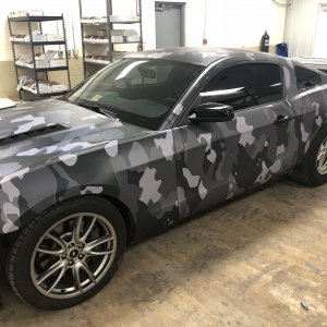 Pro-Graphx Camo Mustang