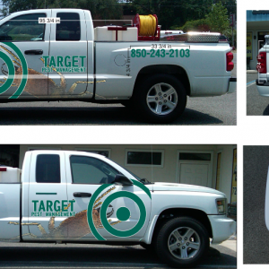 Truck Graphics 2011