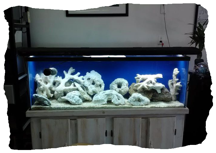 200 gallon