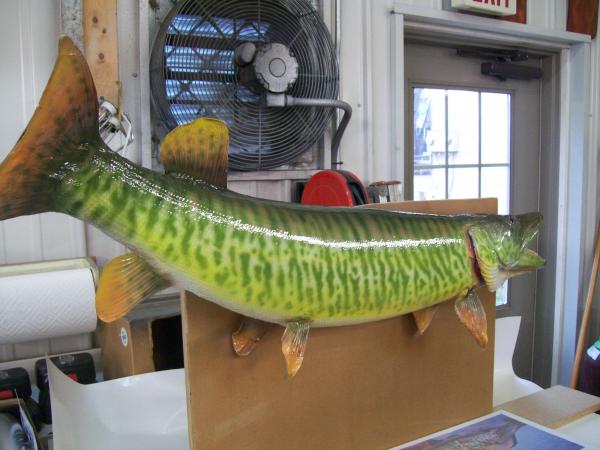 airbrushed tiger muskie 2