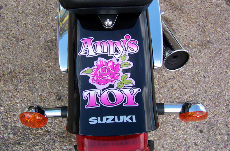 Amy's Toy