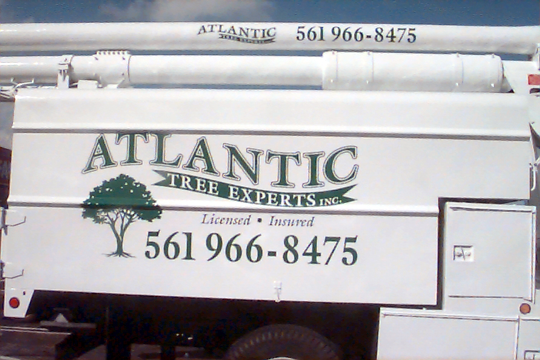 Atlantic Tree Experts 02