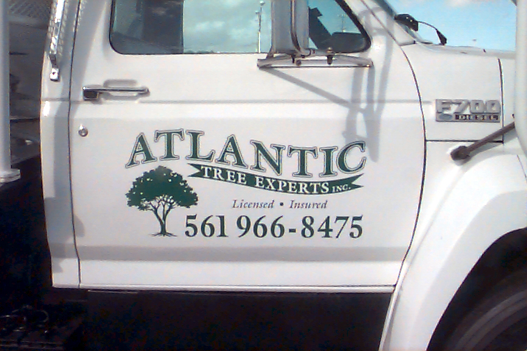 Atlantic Tree Experts 03