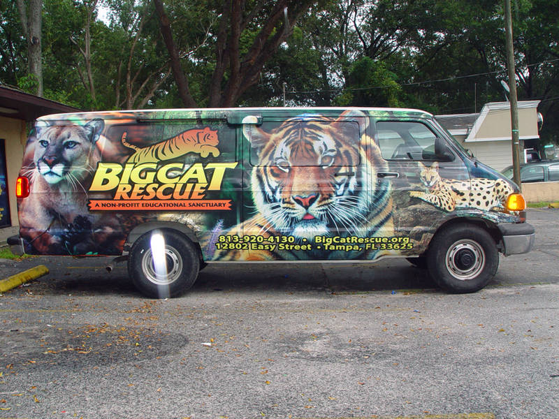 Big Cat Rescue wrap