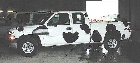 Cow Truck