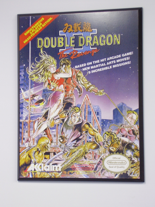 Double Dragon II Poster