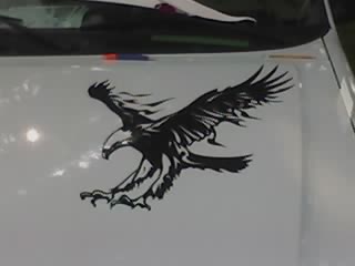 eagle on hood