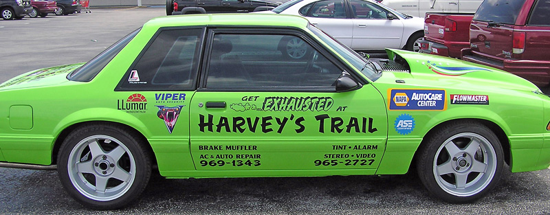 Harveys Trail Mustang