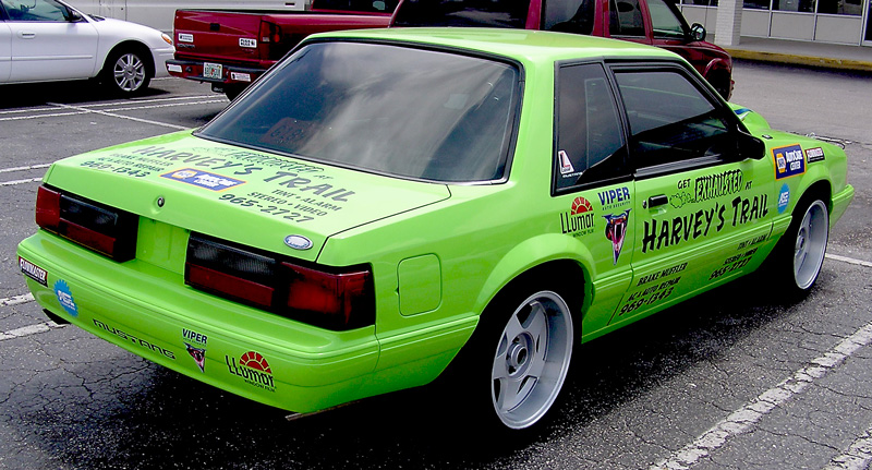 Harveys Trail Mustang