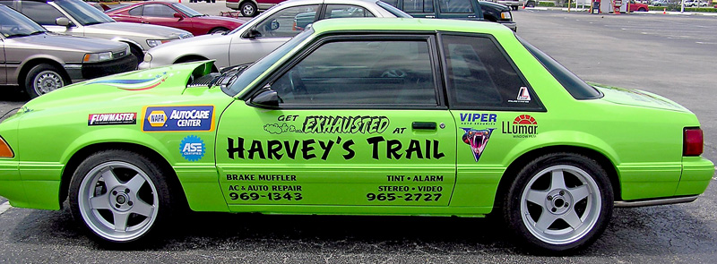 Harveys Trail Mustang