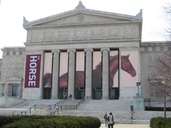 Here's a cool banner project we did for the Chicago Field Museum.  Digital print to Artist 250.