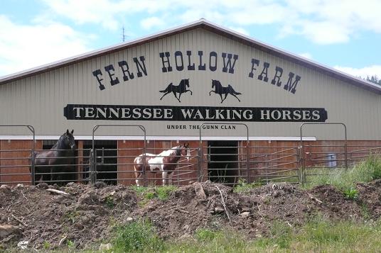 horse barn my son and I painted...(corrigated tin sucks!)