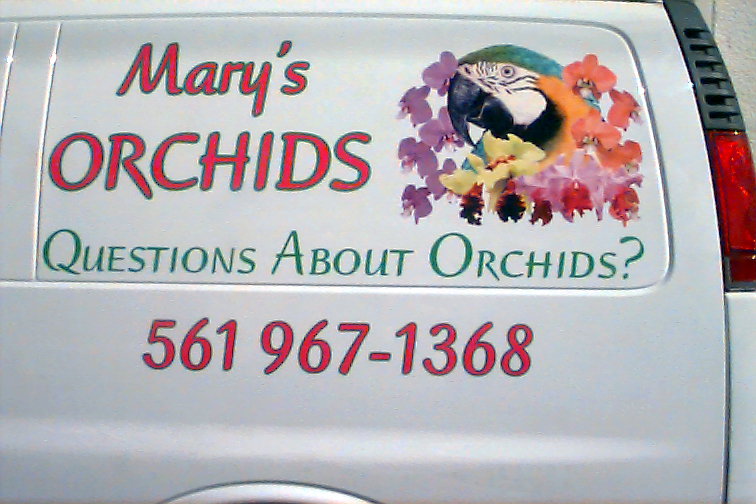 Mary's Orchids 11