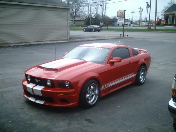 Mustang Stripes