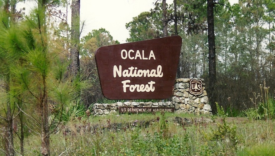 Ocala