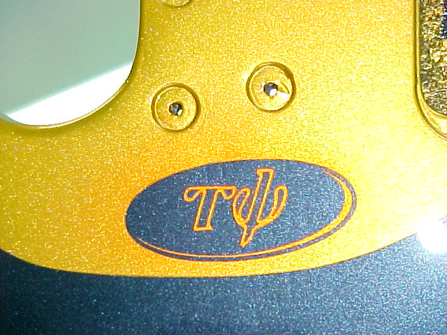 Peavy Wolfgang Custom Paint