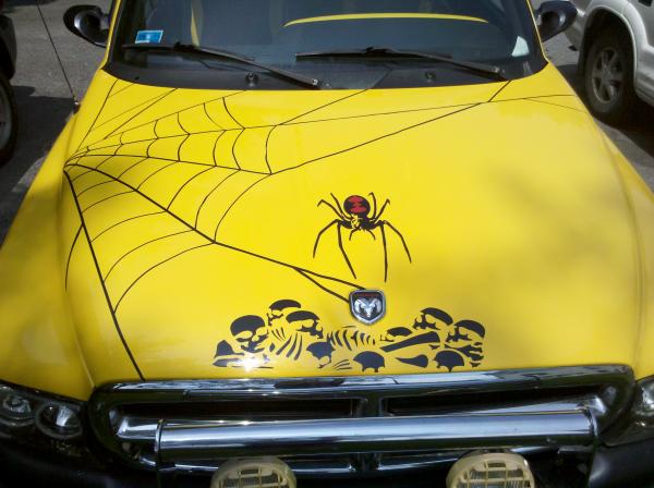 Spider Truck