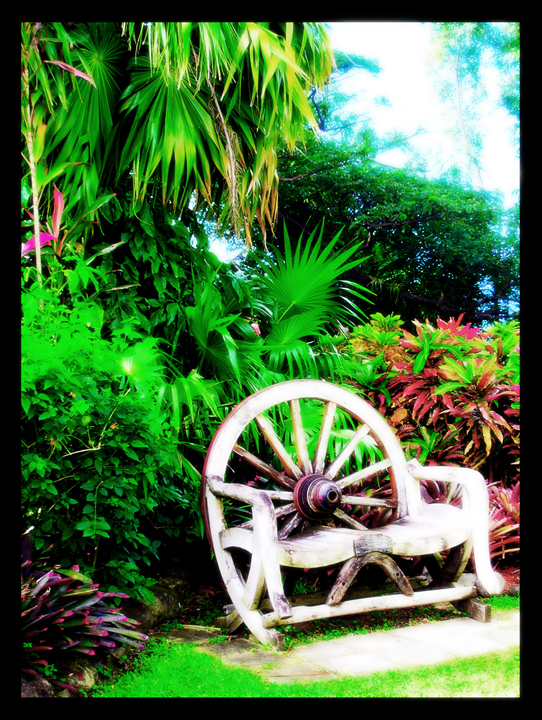 St. Kitts vacation photo / Photoshop enhanced