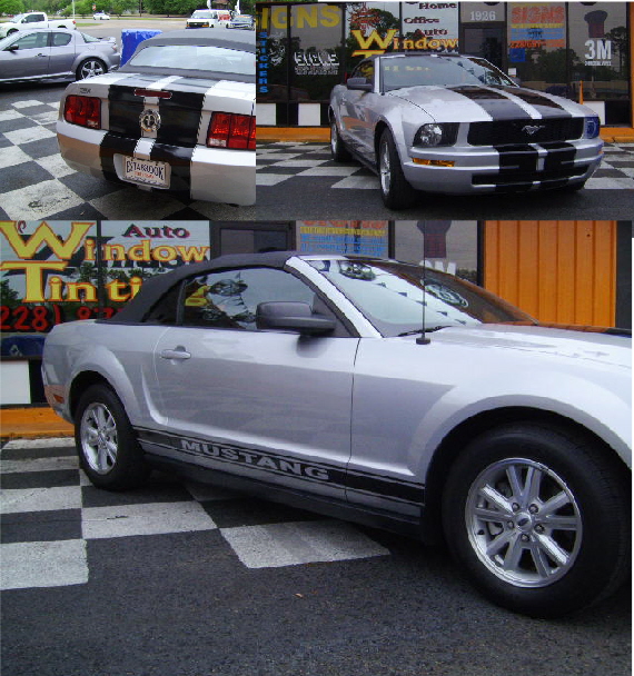 Stang rally stripes