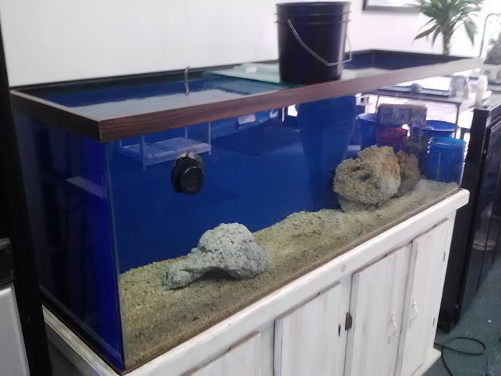 tanks